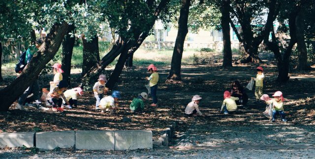 Forest kindergarten training